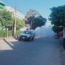 تفعيل خطة مكافحة الحشرات الطائرة بمركز ومدينة دسوق-جريدة مصر العربية 