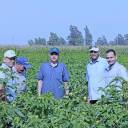 وكيل وزارة الزراعة بكفر الشيخ وجولة ميدانية للإدارة الزراعية بمركز قلين -جريدة مصر العربية 