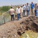 تنفيذ قرار إزالة لمزرعة سمكية مخالفة بجوار 